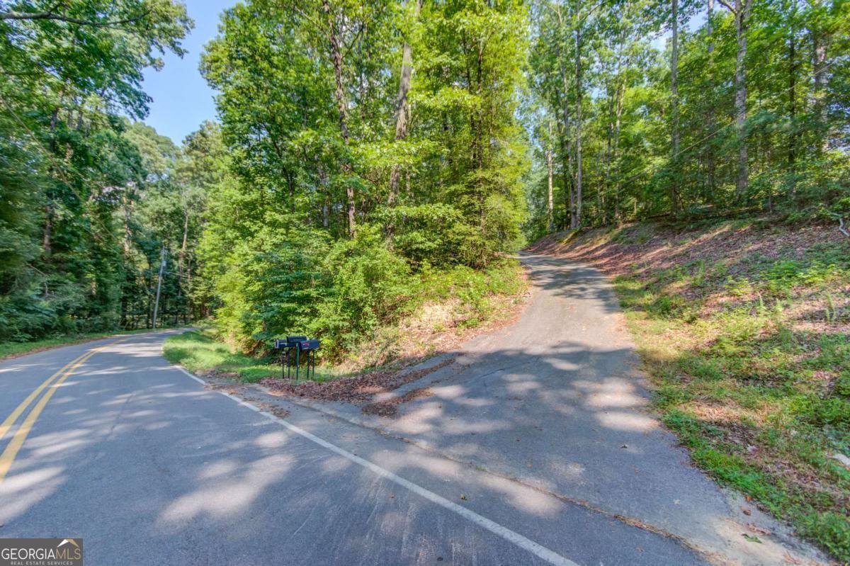 6050 Sandy Creek Road Loganville - 39