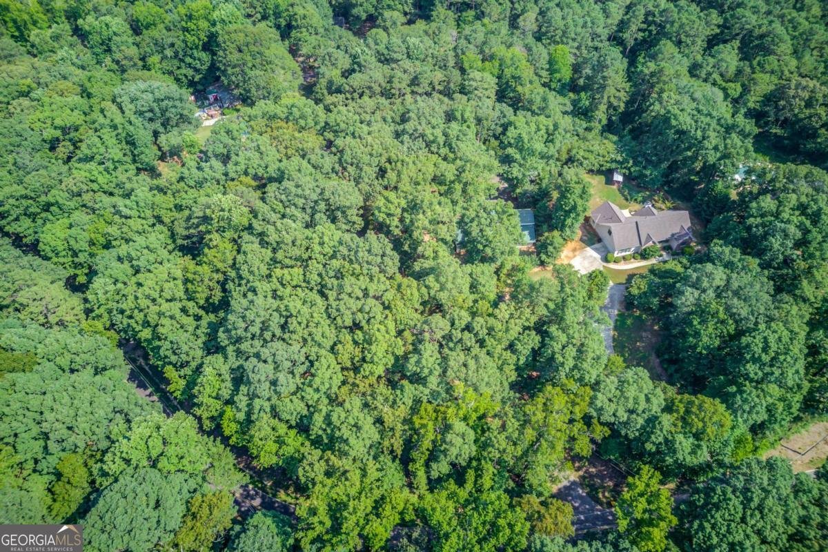 6050 Sandy Creek Road Loganville - 40