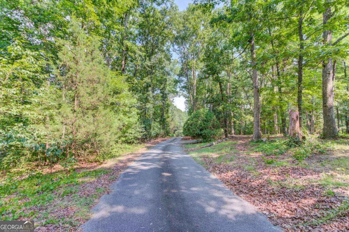 6050 Sandy Creek Road Loganville - 41