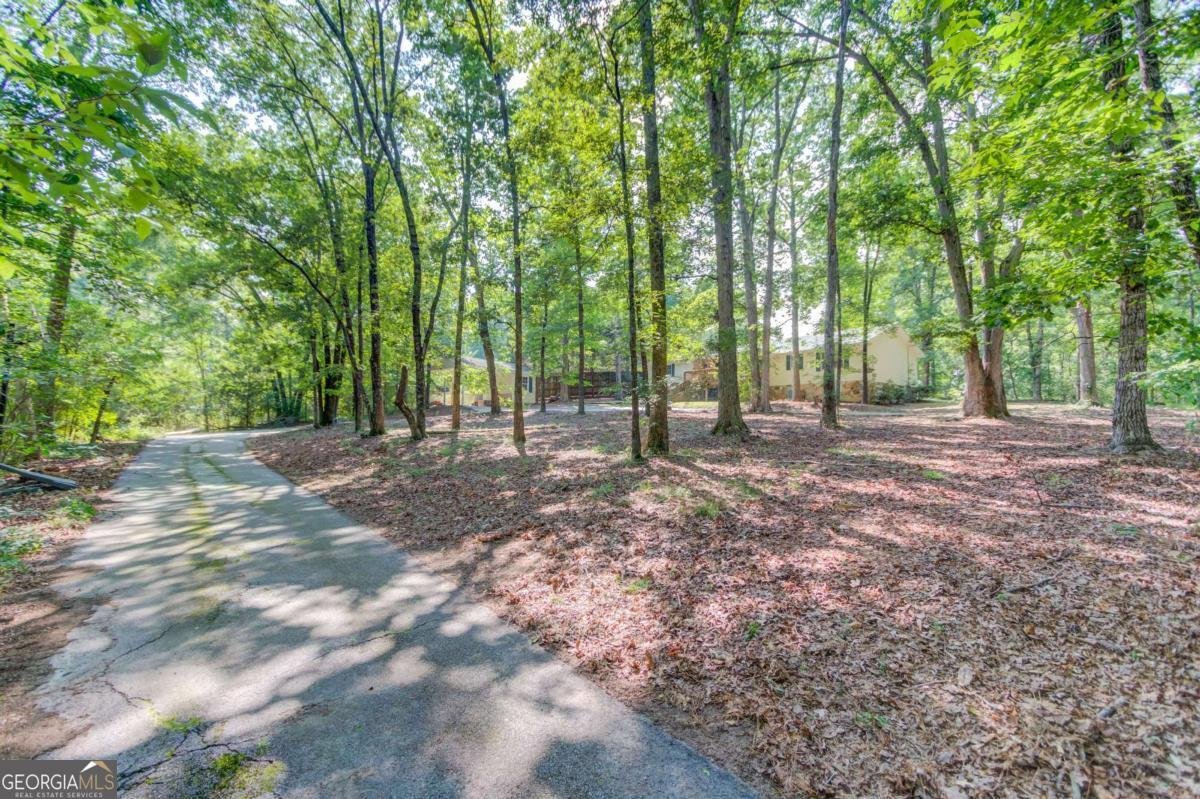 6050 Sandy Creek Road Loganville - 42