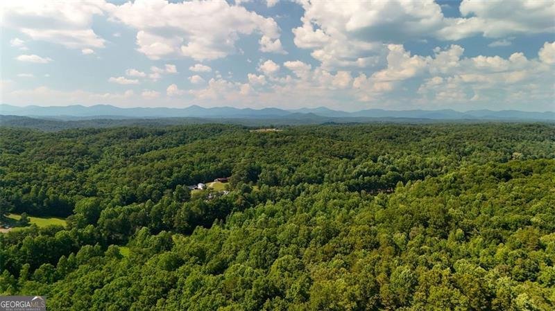 422 GOLD CREST Drive Dahlonega - 32