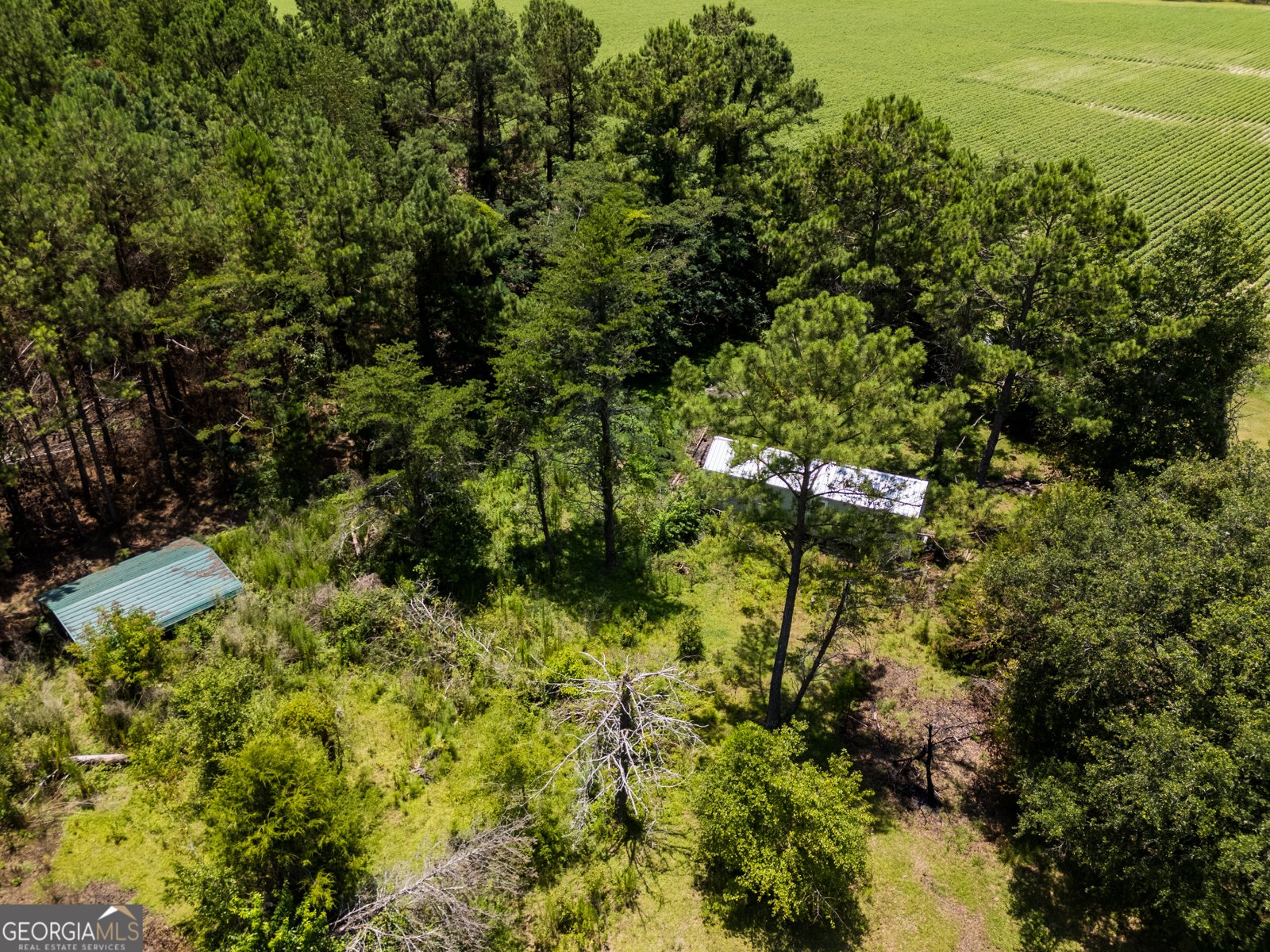 7552 Webb Road Hahira - 57