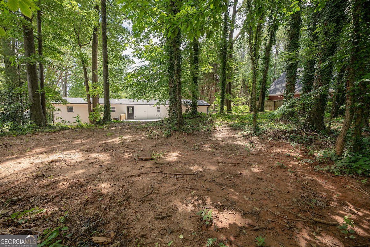 1325 County Line Road Acworth - 8