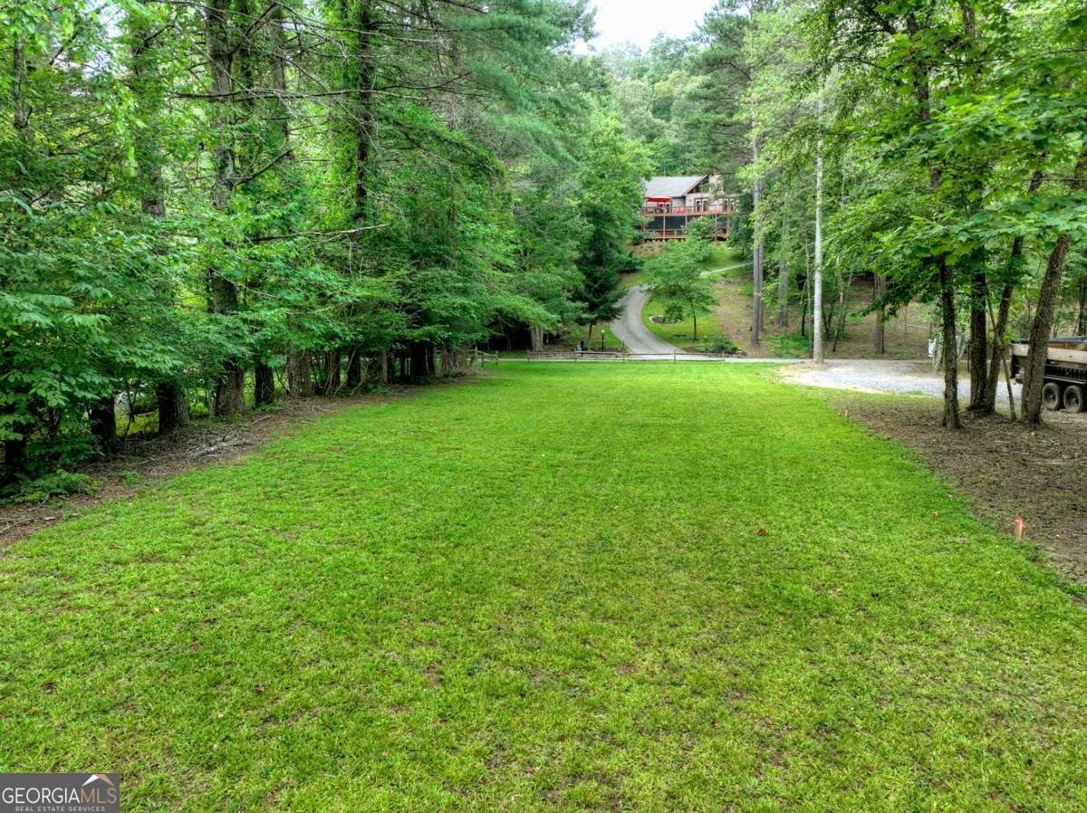 588 Blackberry Drive Mineral Bluff - 44