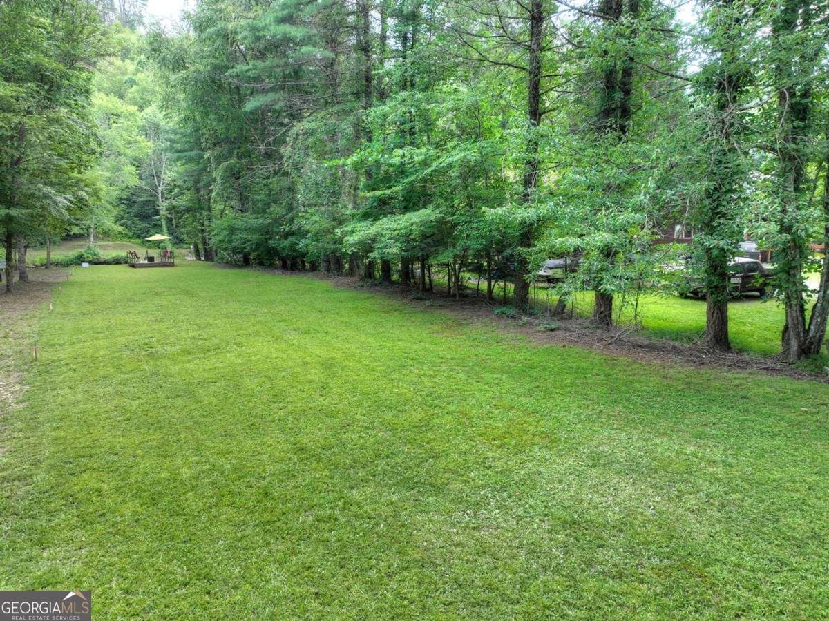 588 Blackberry Drive Mineral Bluff - 47