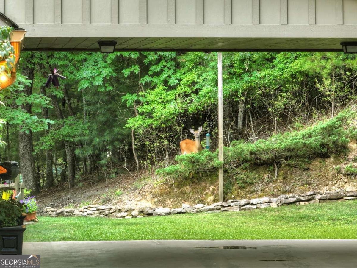 588 Blackberry Drive Mineral Bluff - 48