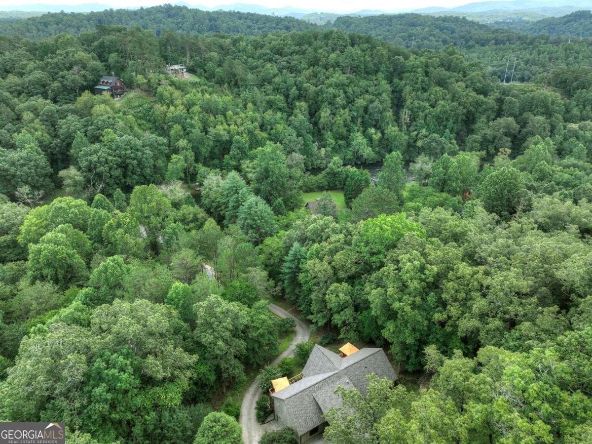 588 Blackberry Drive Mineral Bluff - 57