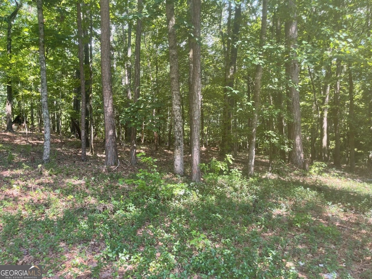 876 Newton Road Lagrange - 20