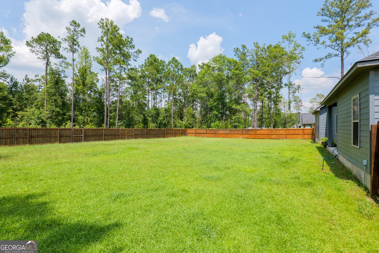 6006 Union Springs Drive Hahira - 17