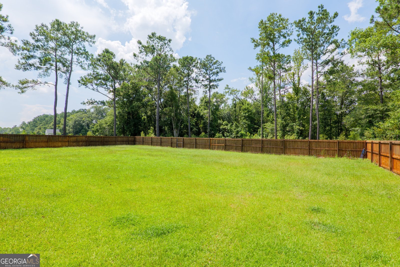 6006 Union Springs Drive Hahira - 21
