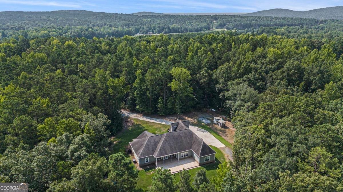 1325 Adams Road Meansville - 42