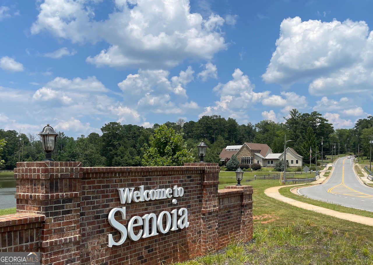 106 Brittany Lane Senoia - 47