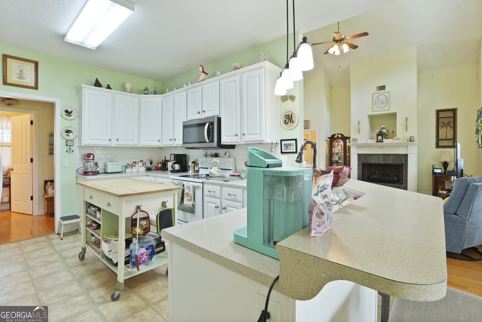 725 Lane Street Brooklet - 11