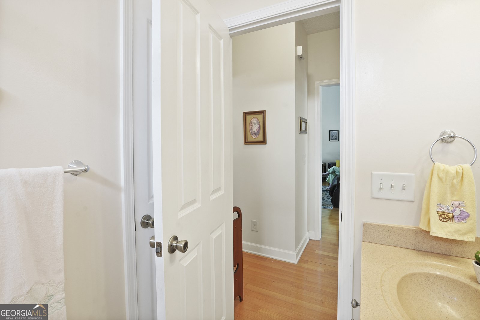725 Lane Street Brooklet - 35