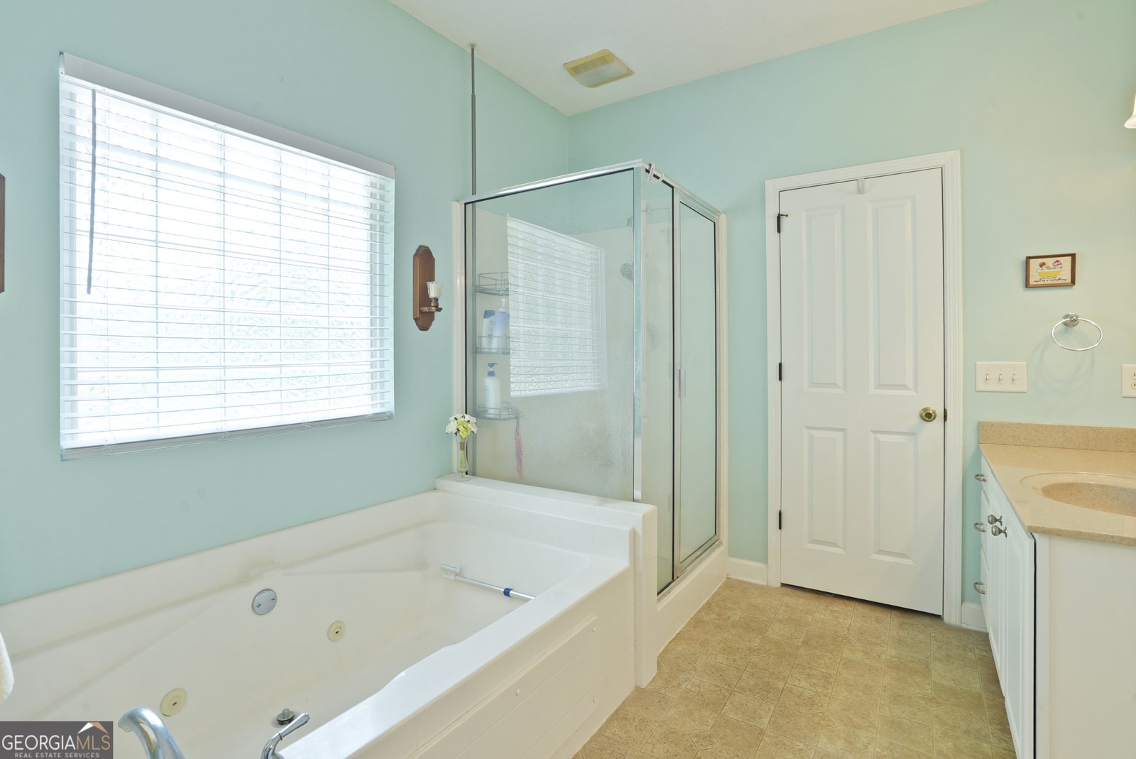 725 Lane Street Brooklet - 52
