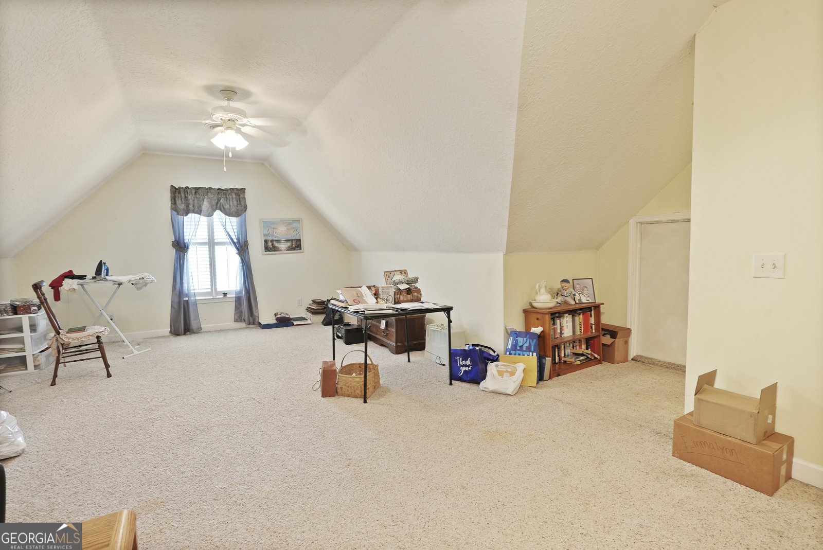 725 Lane Street Brooklet - 57