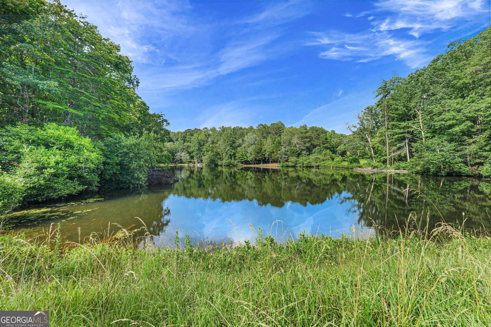 629 Waters Edge Drive Clarkesville - 24