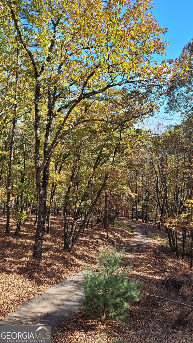 629 Waters Edge Drive Clarkesville - 26
