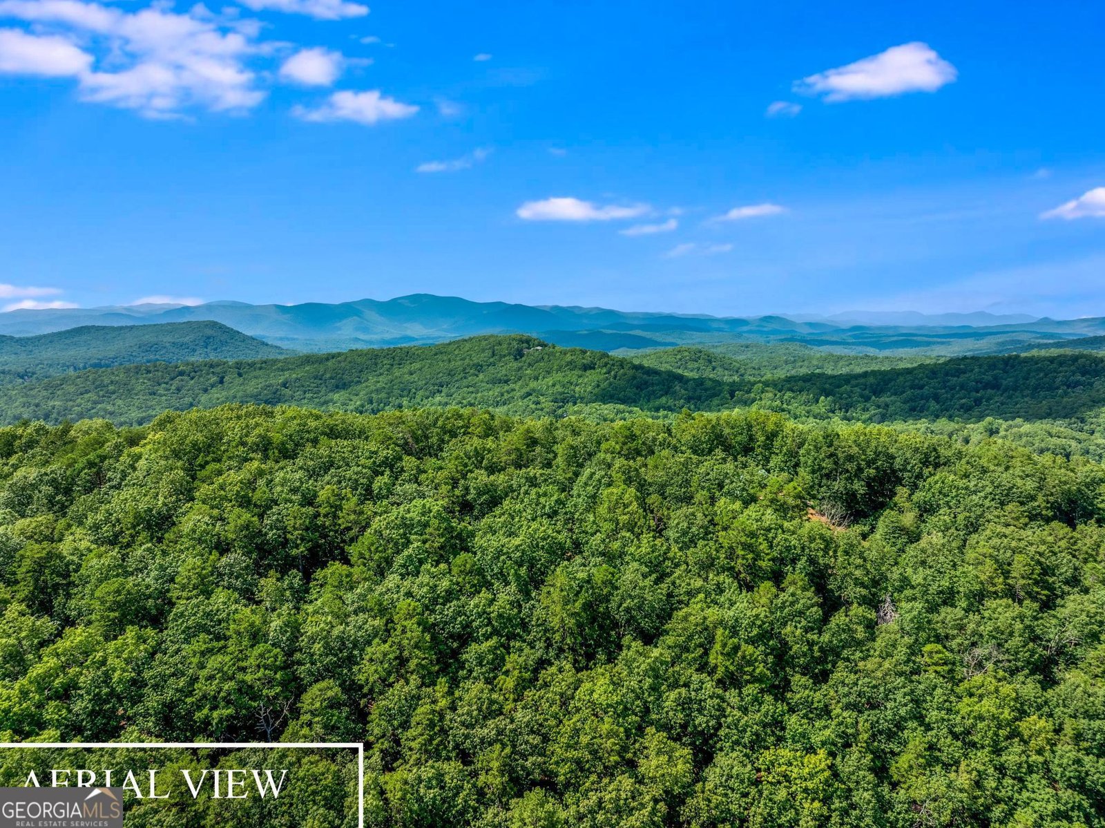 629 Waters Edge Drive Clarkesville - 36