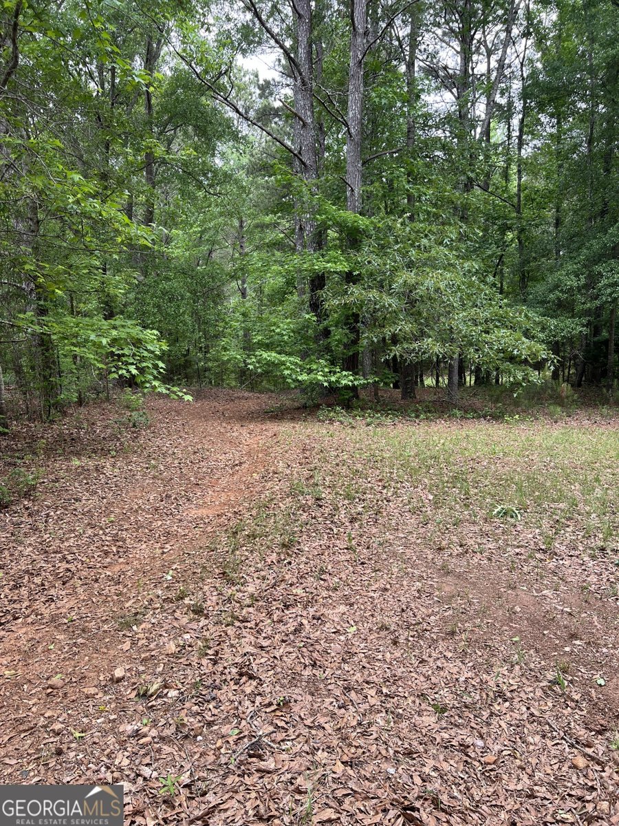 877 Honey Creek Road McDonough - 40