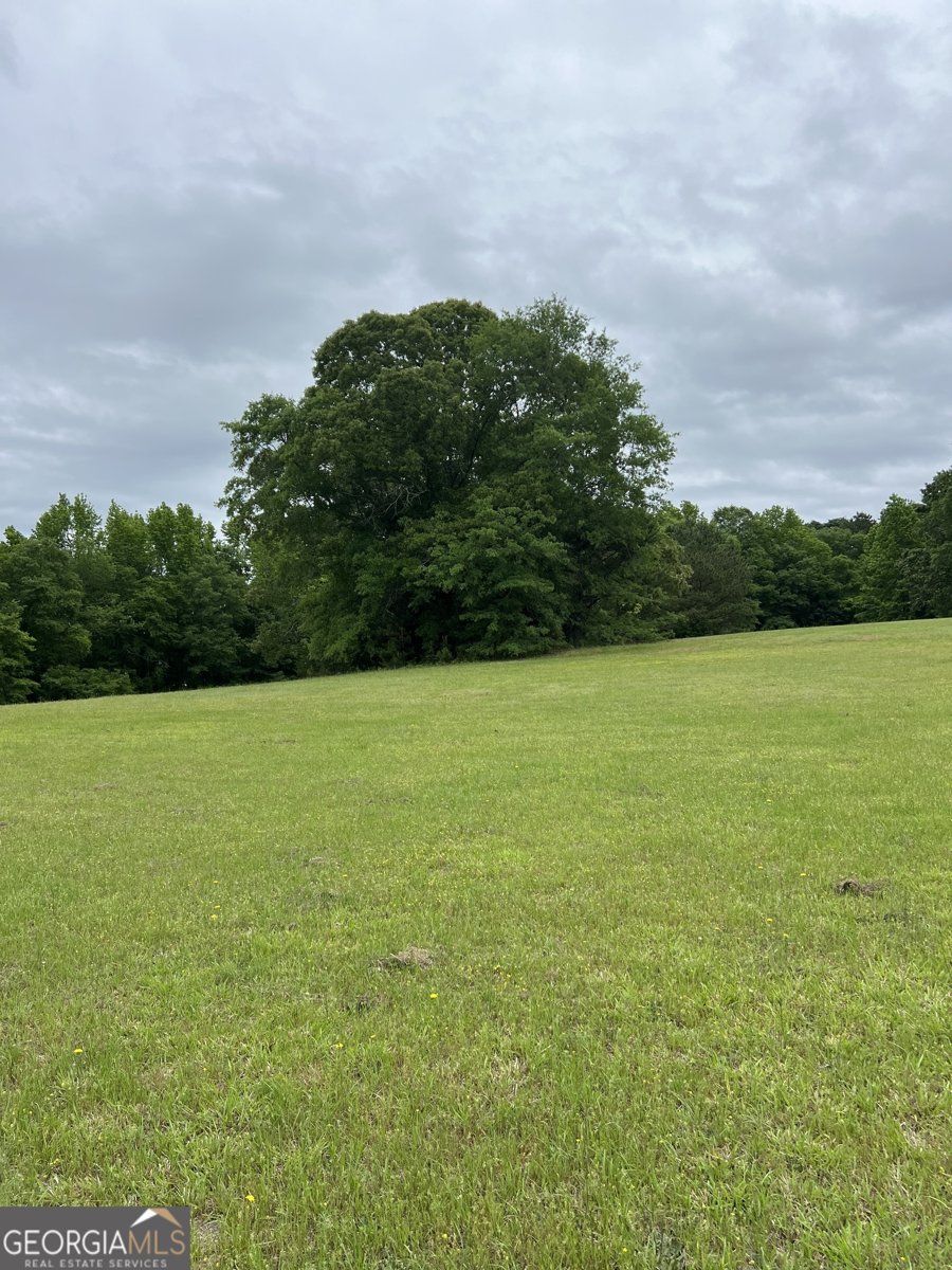 877 Honey Creek Road McDonough - 42