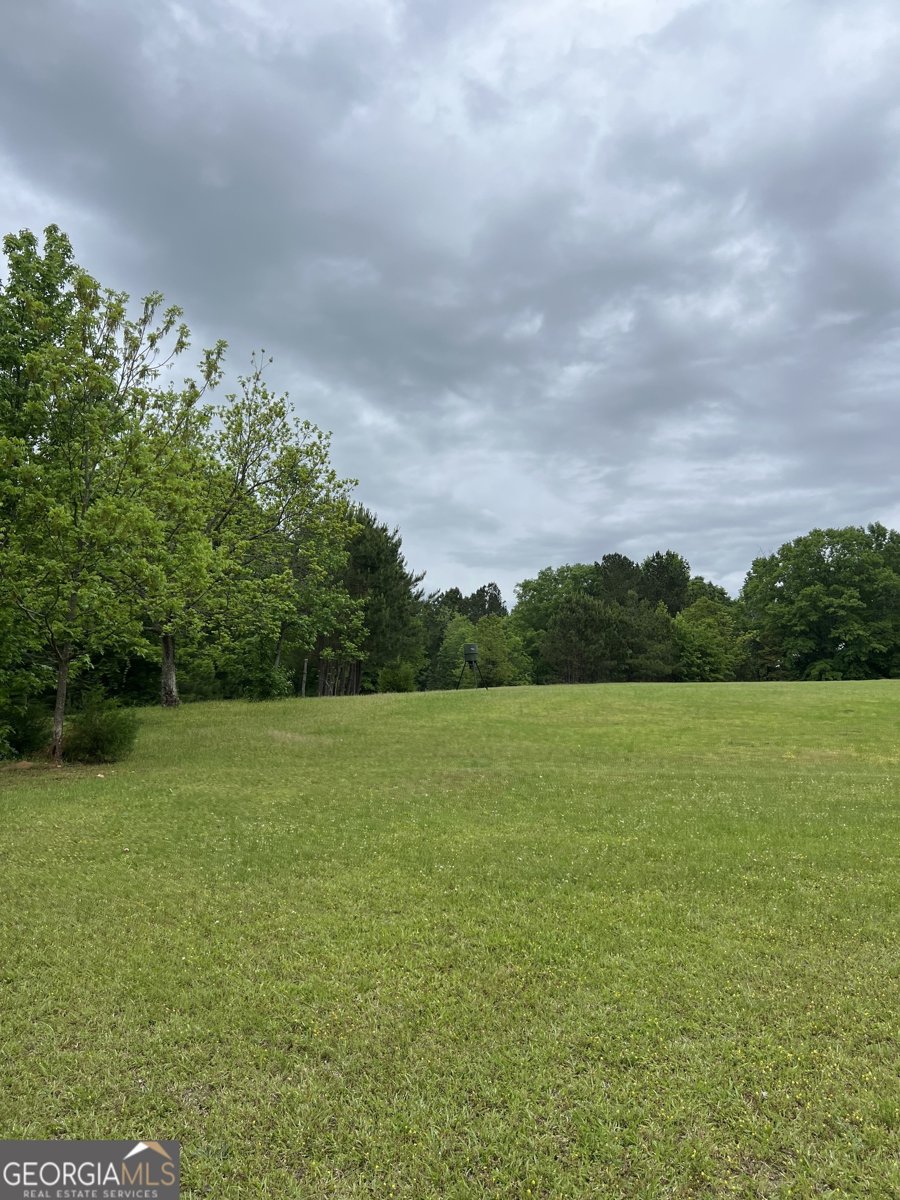 877 Honey Creek Road McDonough - 43