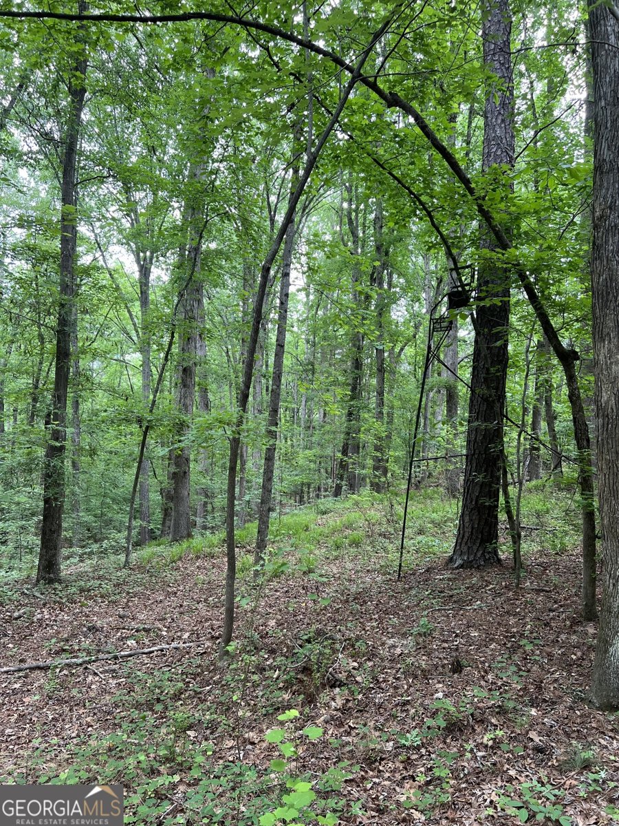 877 Honey Creek Road McDonough - 45