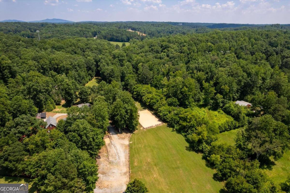 1160 Glen Wilkie Trail Ball Ground - 22