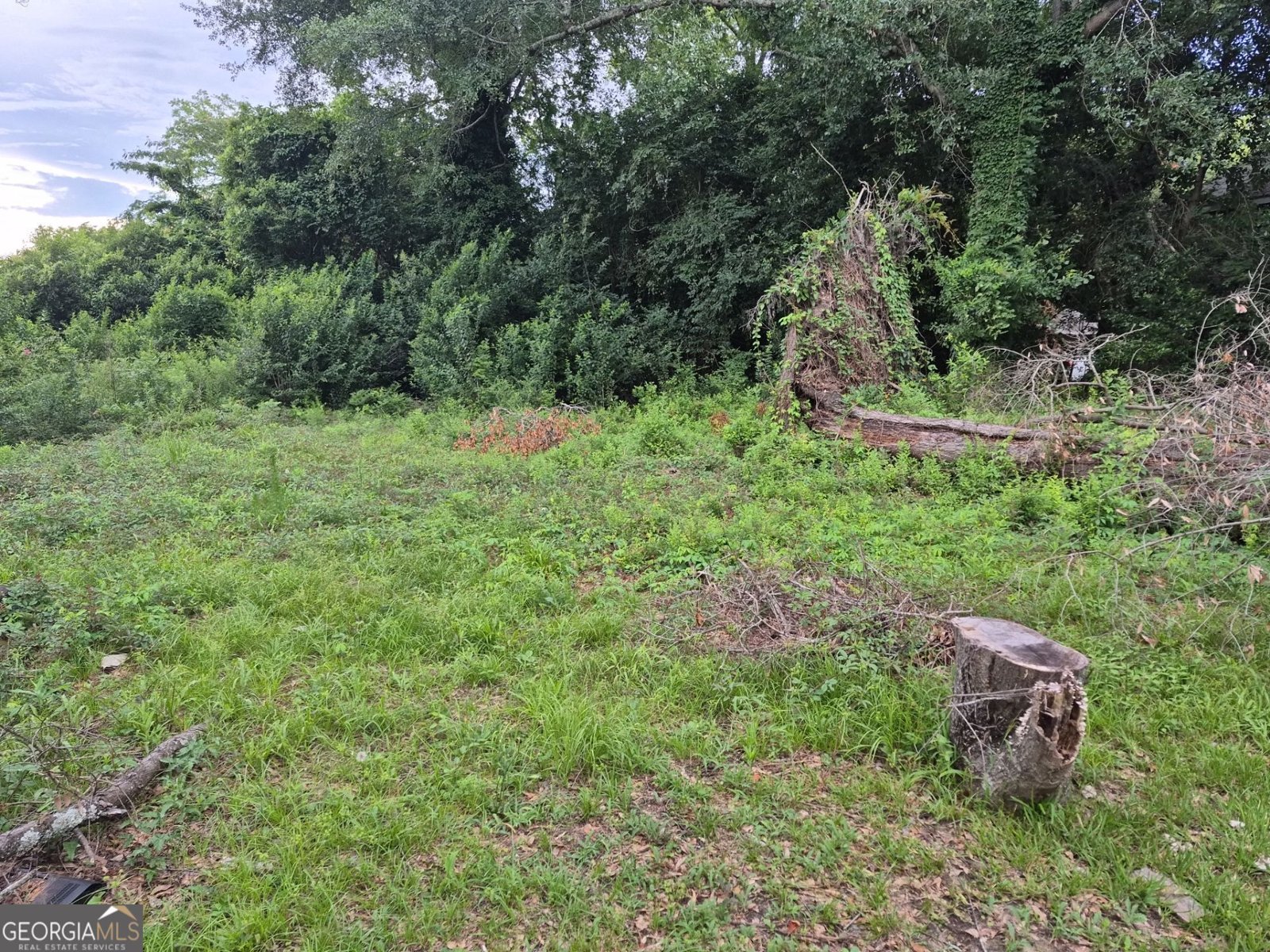 866 Roseview Drive Macon - 17