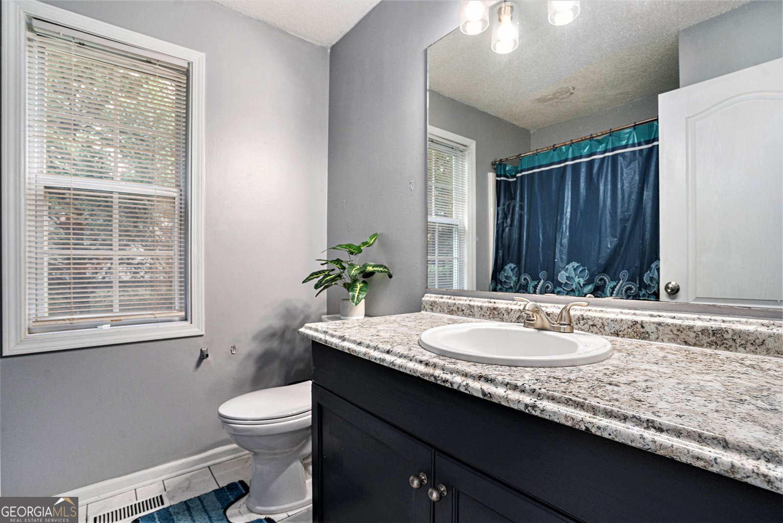 52 Imperial Drive Hiram - 19