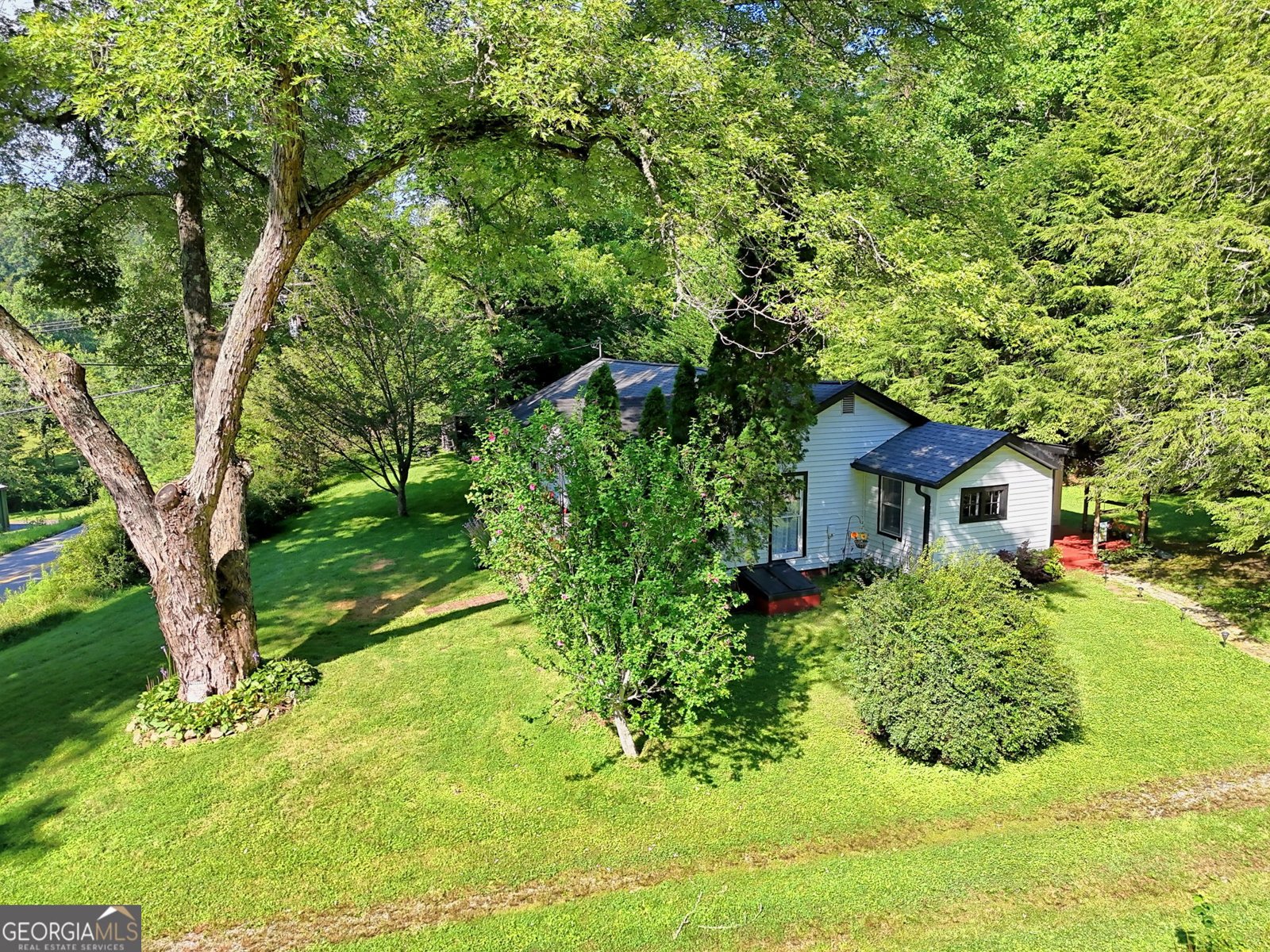 820 Ash Loop Road Blue Ridge - 4