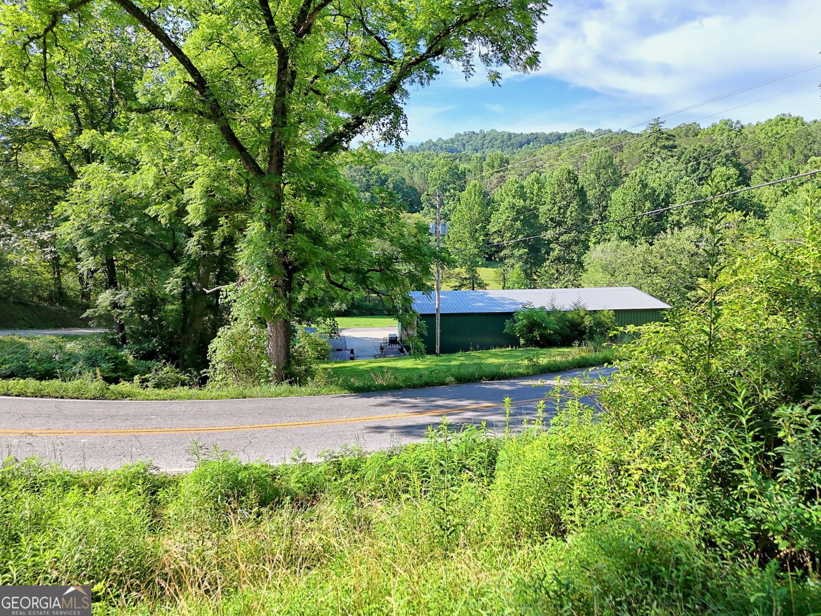 820 Ash Loop Road Blue Ridge - 75