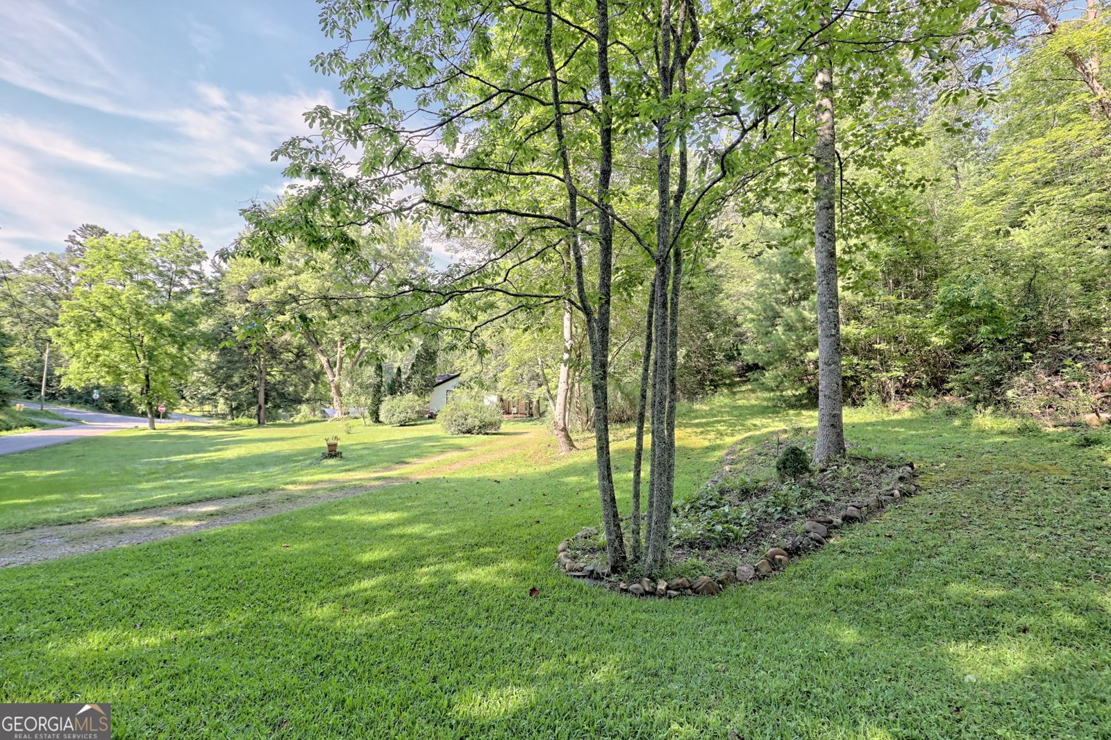 820 Ash Loop Road Blue Ridge - 9