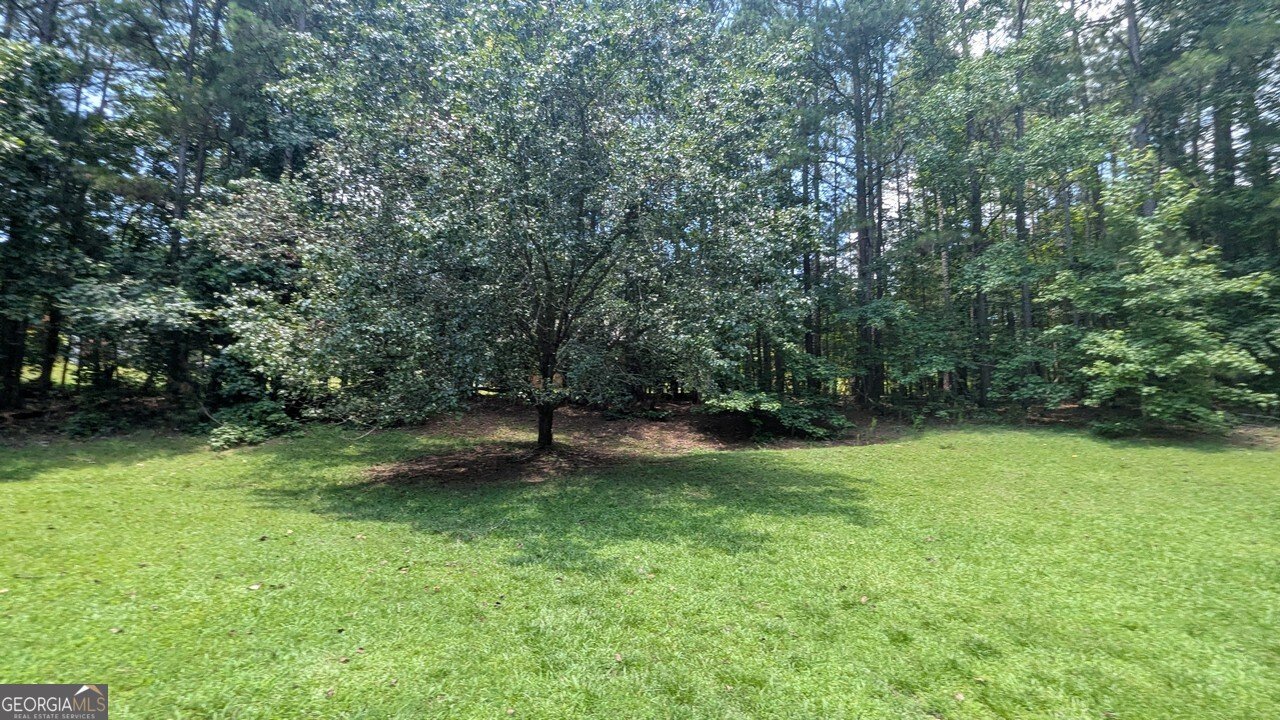 199 Berry Road McDonough - 11