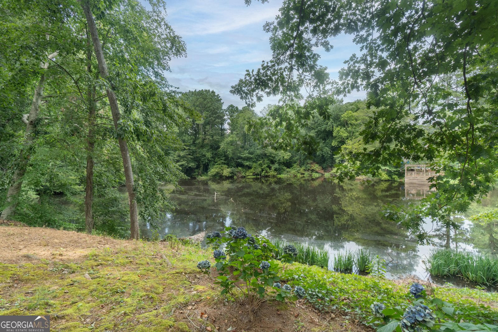 3623 Sunderland Court Brookhaven - 42