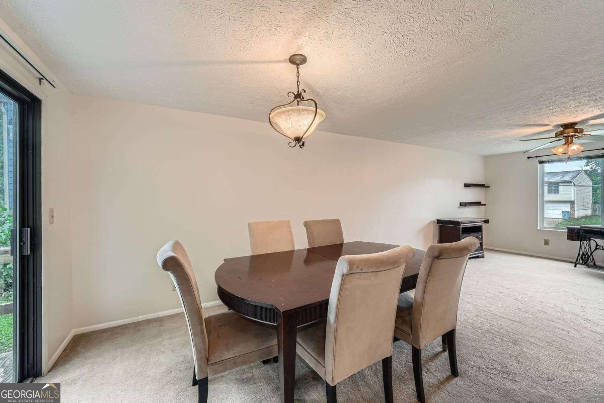4470 Hopkins Lake Drive Duluth - 10