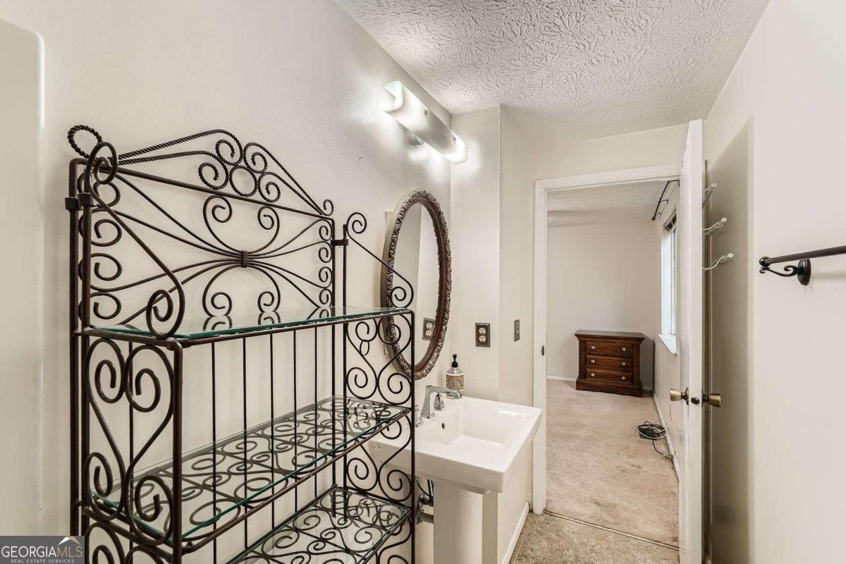 4470 Hopkins Lake Drive Duluth - 18