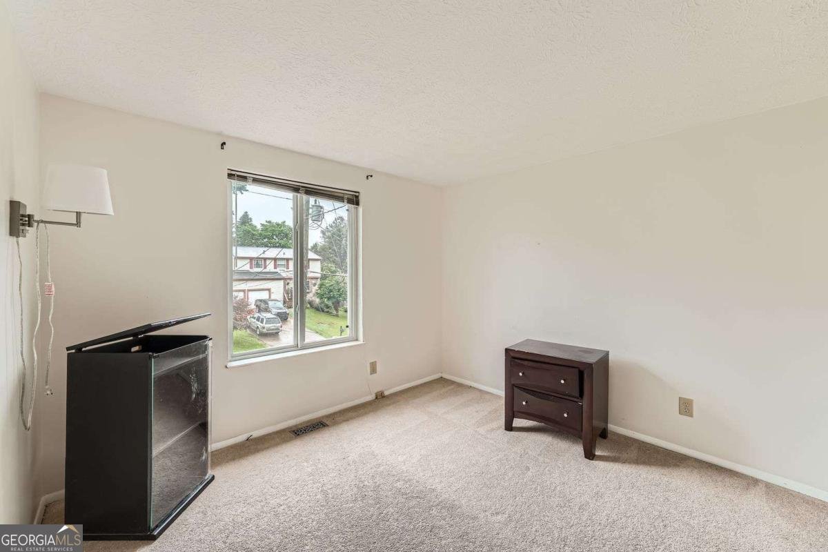 4470 Hopkins Lake Drive Duluth - 20