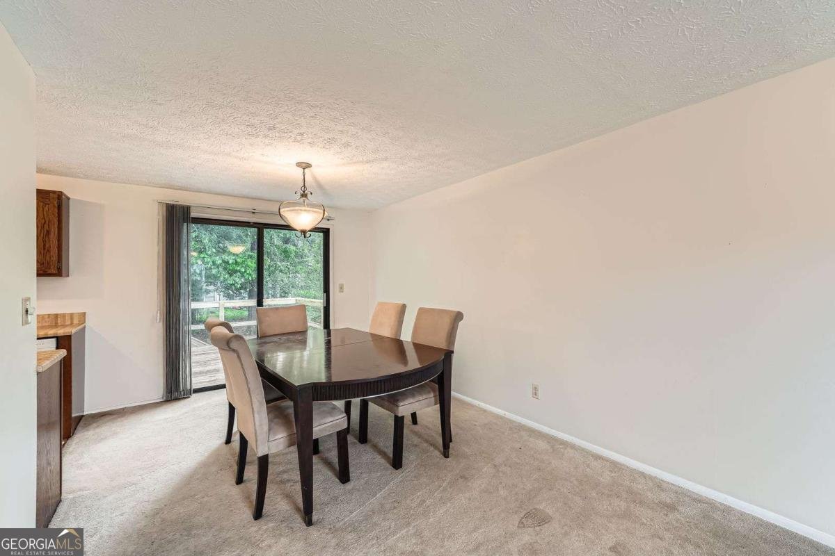 4470 Hopkins Lake Drive Duluth - 9