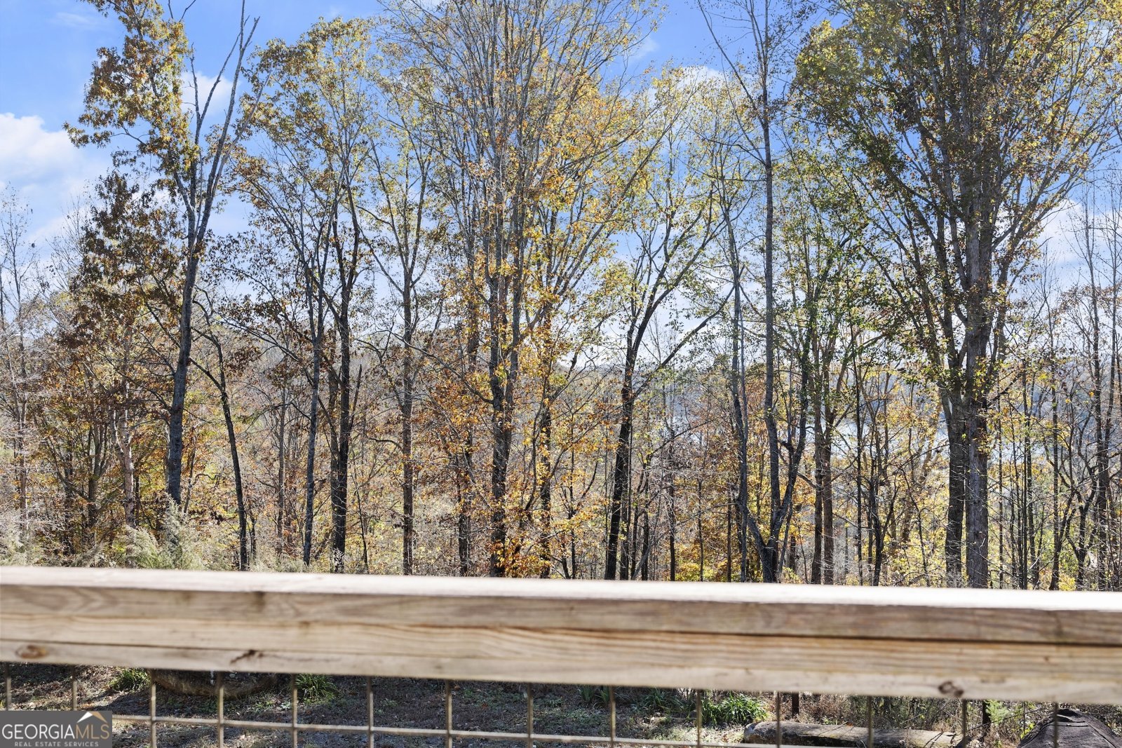 5265 Madge Lane Gainesville - 45