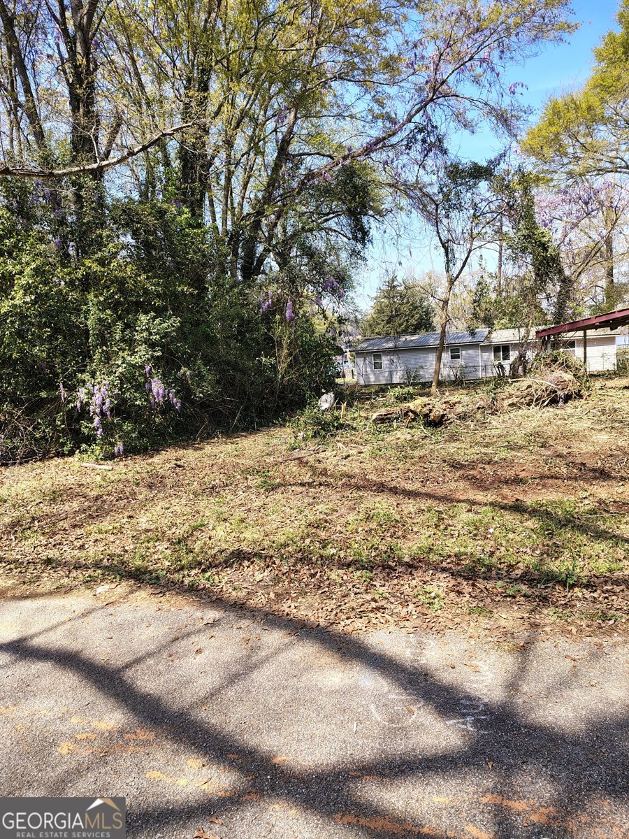 24 Jackson Street Monticello - 11