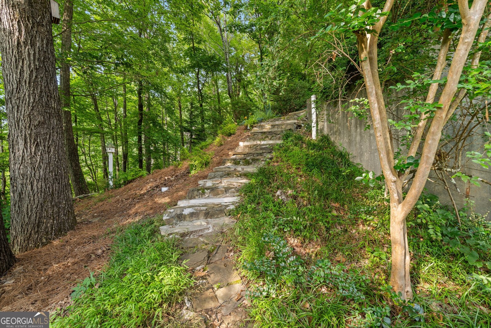 1410 Rainwater Trail Tiger - 64
