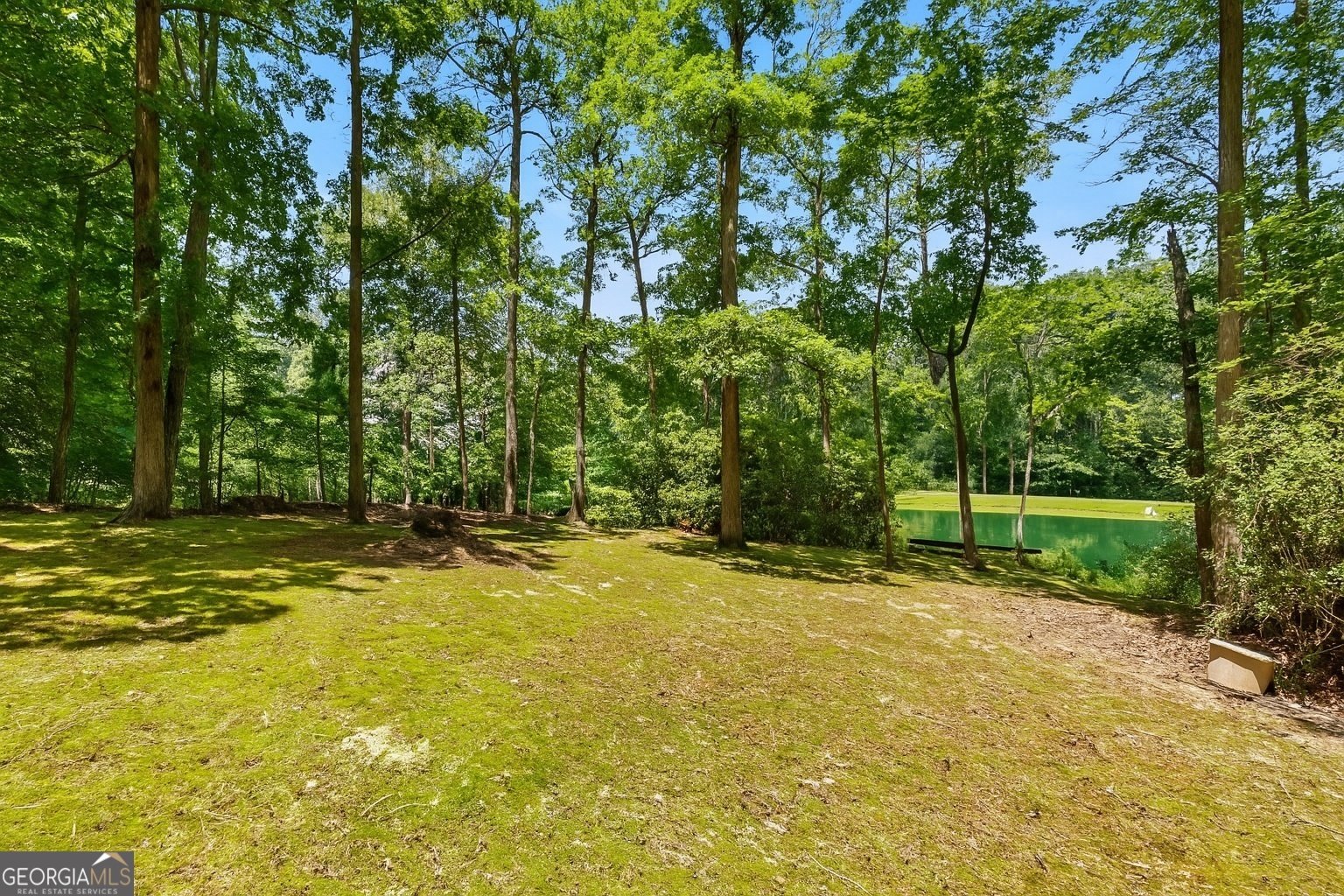13370 Providence Park Drive Alpharetta - 28