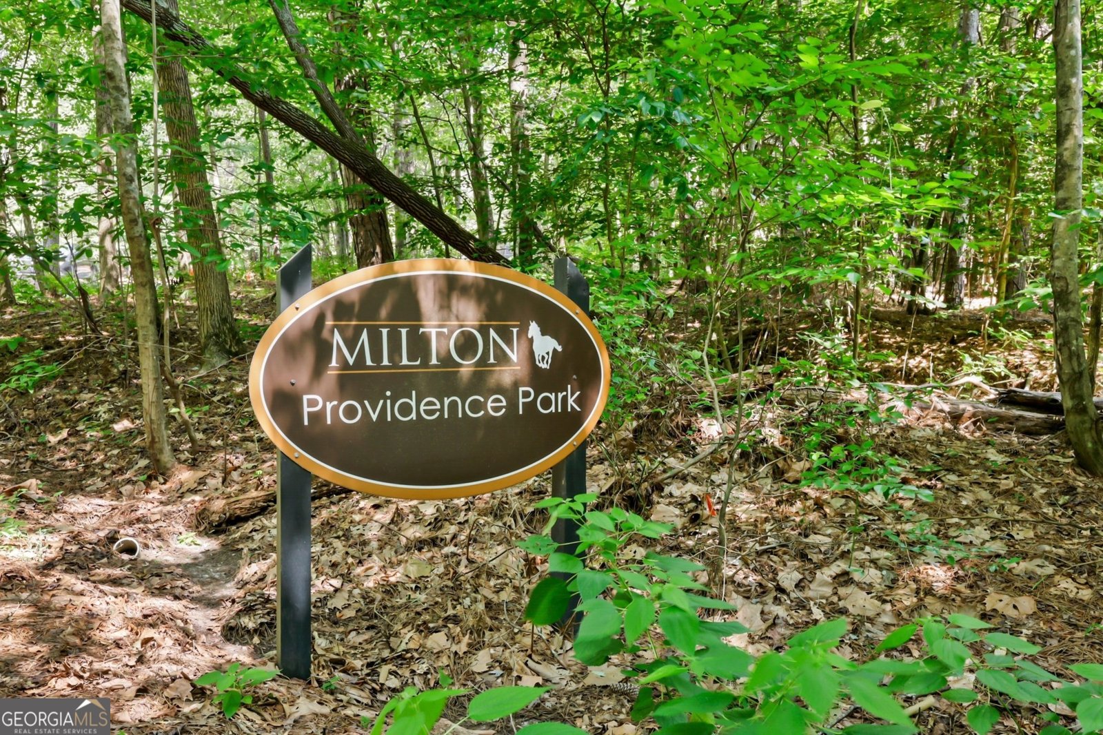 13370 Providence Park Drive Alpharetta - 33