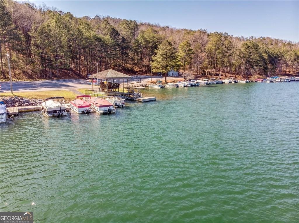 117 Leopard Court Waleska - 10