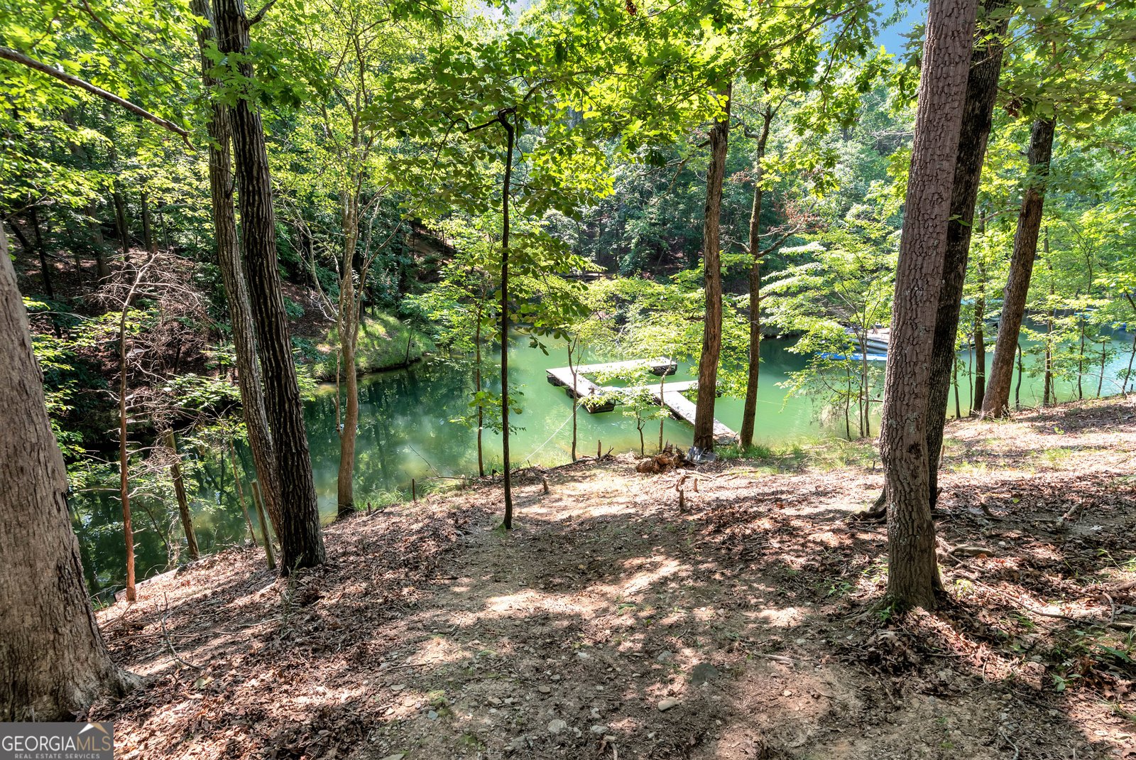 5981 Warpath Road Flowery Branch - 5