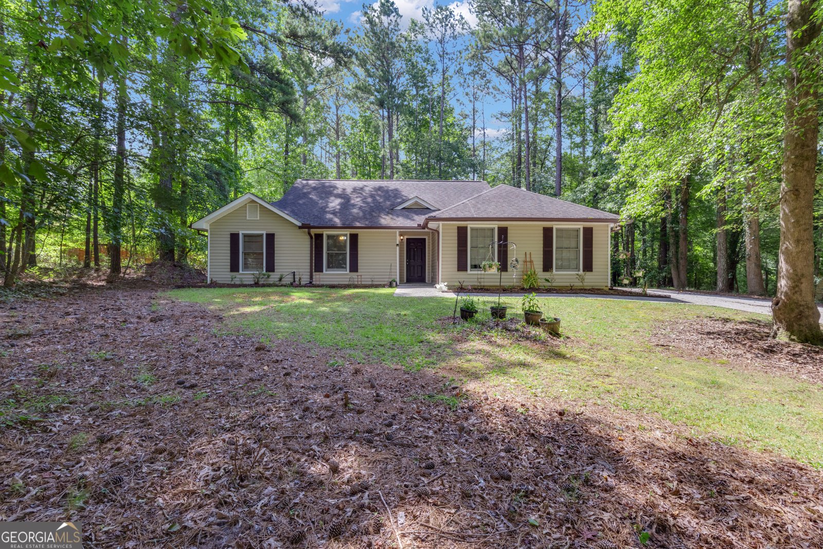 50 Ashley Creek Drive Newnan - 1