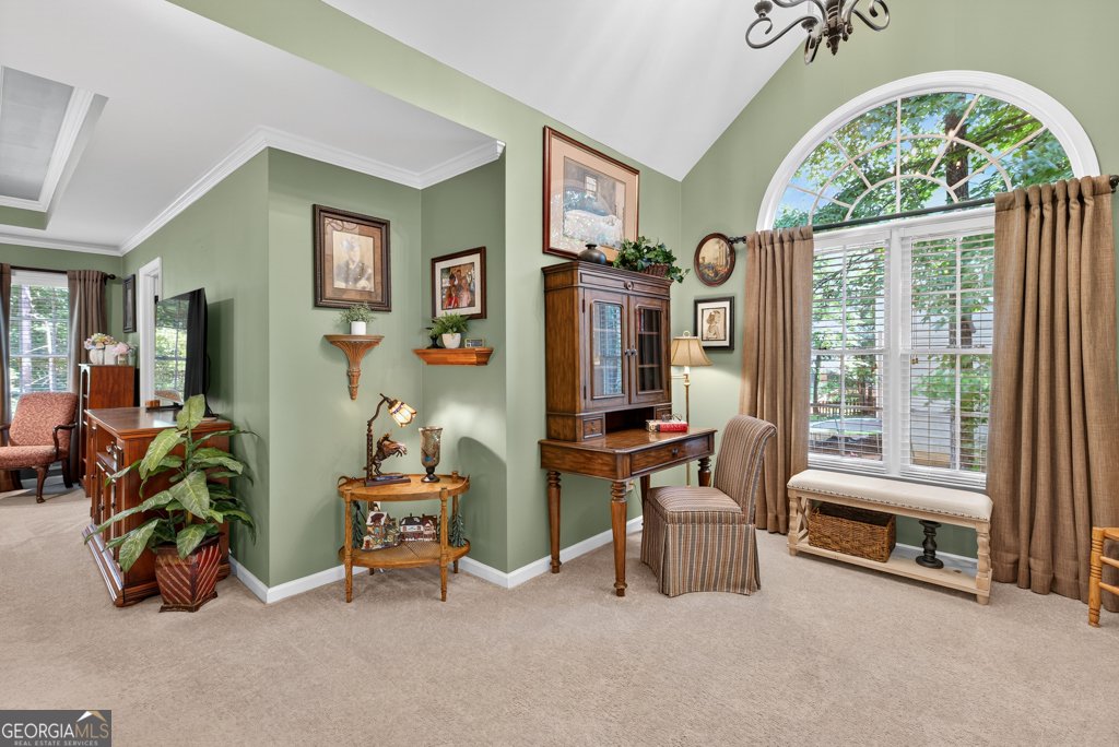 3410 Pierce Arrow Circle Suwanee - 18