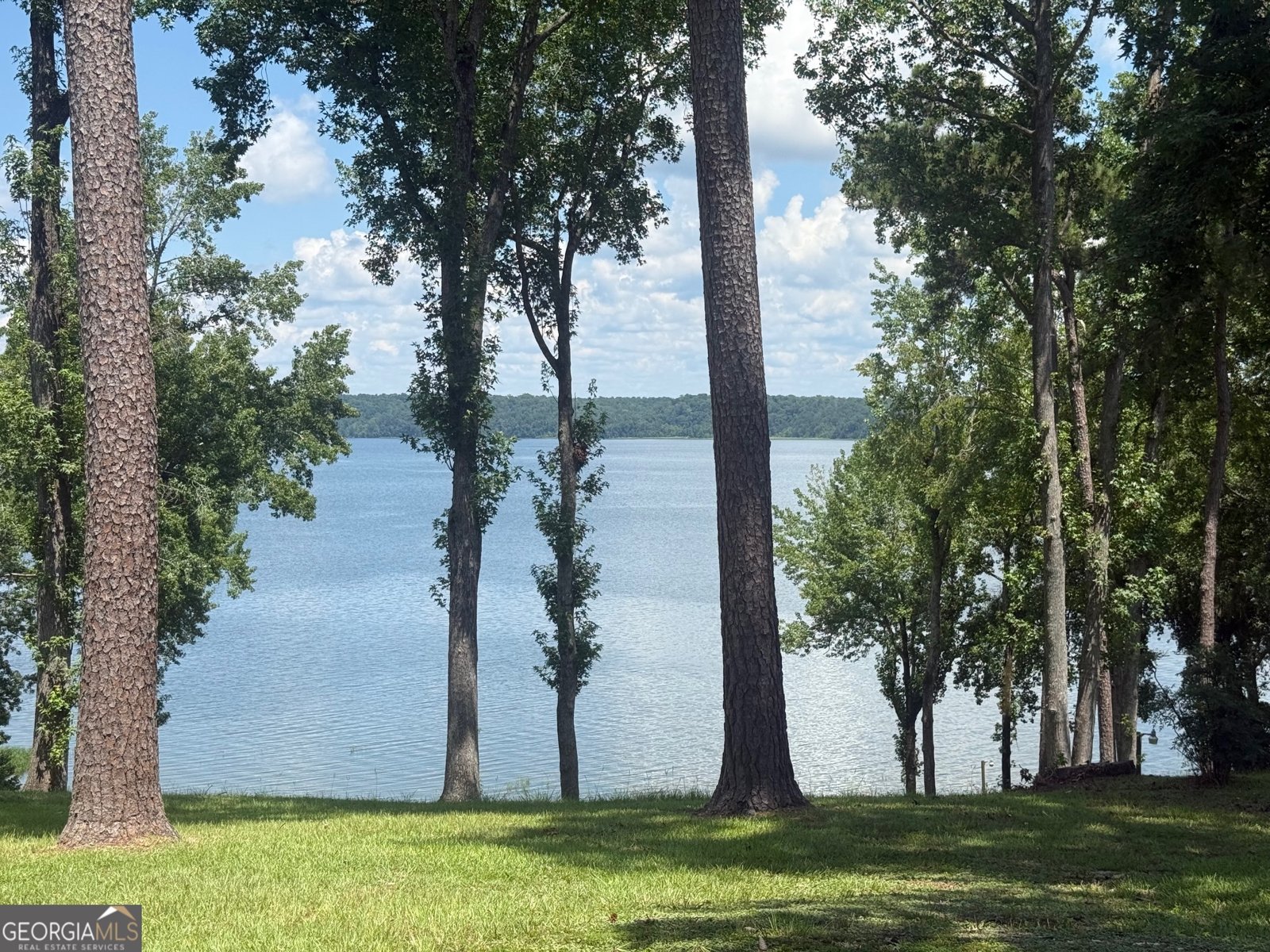 111 Lakeview Drive Eufaula - 1