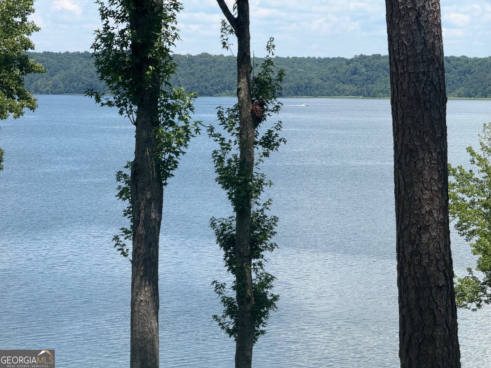 111 Lakeview Drive Eufaula - 29
